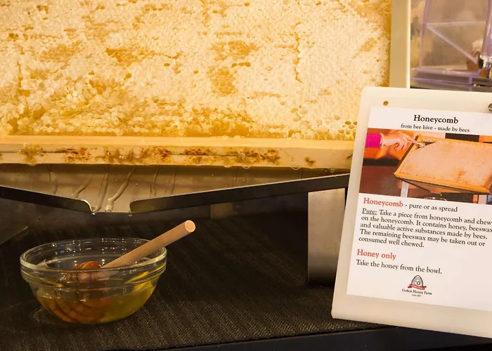 Best Western Plus Chc Florence